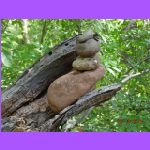 In a Limb - Cairn.jpg